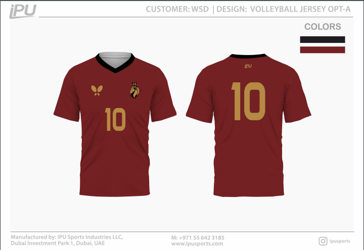 WSD Lions â€“ Volleyball Kit.