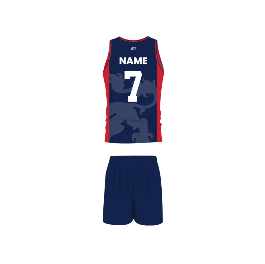 Dwight â€“ Basketball Kit Back View.