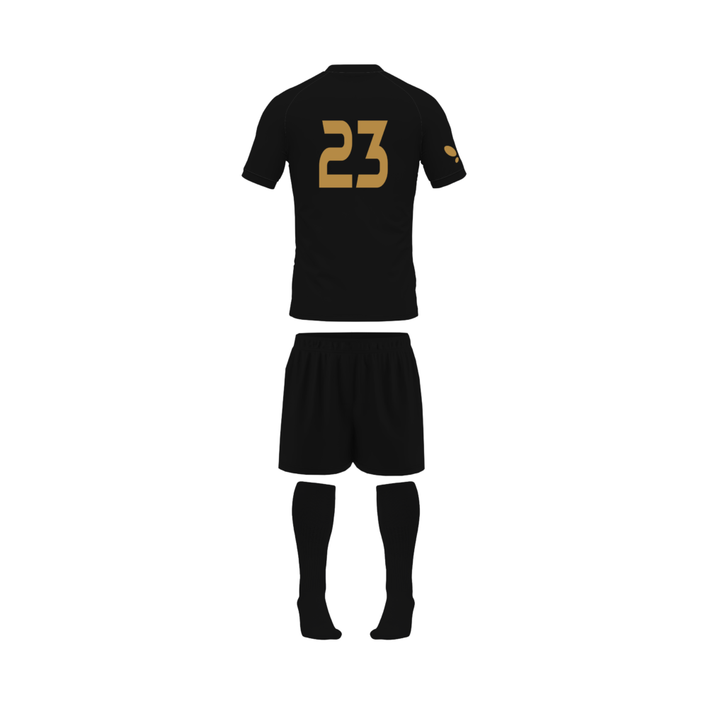 WSD Lions -  Football kit