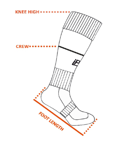 Diagram IPU Socks